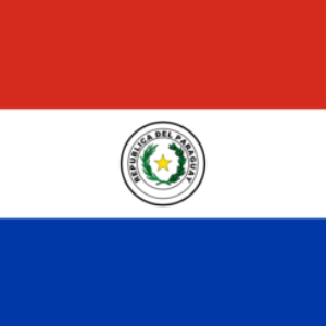 Group logo of Paraguay