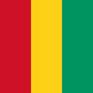 Group logo of Guinea