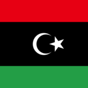 Group logo of Libya