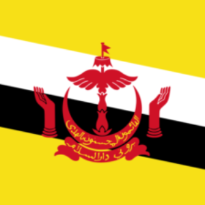 Group logo of Brunei